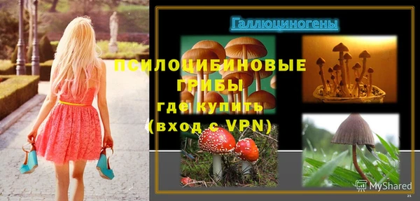 2c-b Балахна