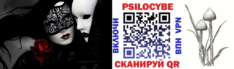 магазин продажи   Няндома  это наркотические препараты  Псилоцибиновые грибы мухоморы 